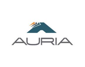 Auria - Automotive acoustics and fiber-based systems